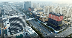 “浦东”[205]